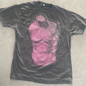 Concert T shirt from the Indie band dismemberment plan 2013 in a mens Large